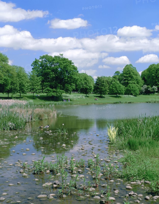 Kenilworth Abbey Fields, Warwickshire.