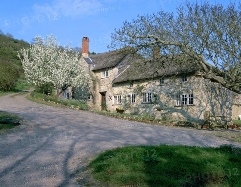 'Great Seaside' house, Branscombe, Devon.