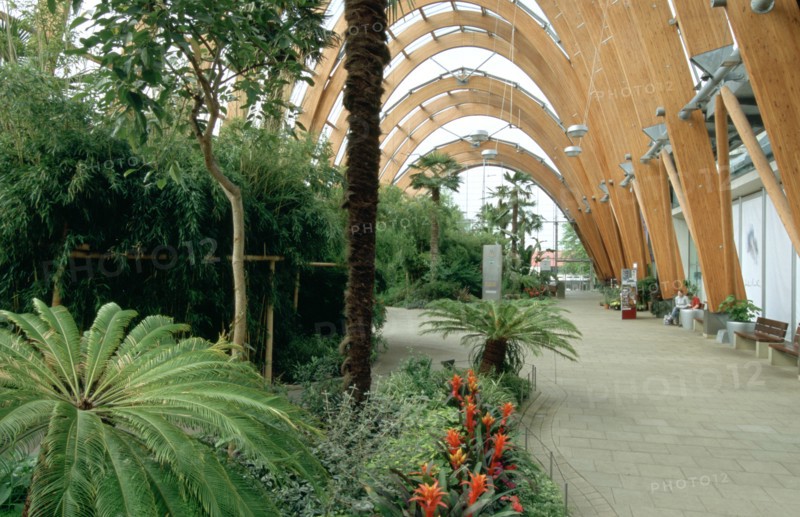 Winter Gardens, Sheffield, South Yorkshire.