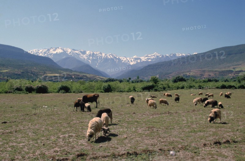 High Atlas, Morocco.