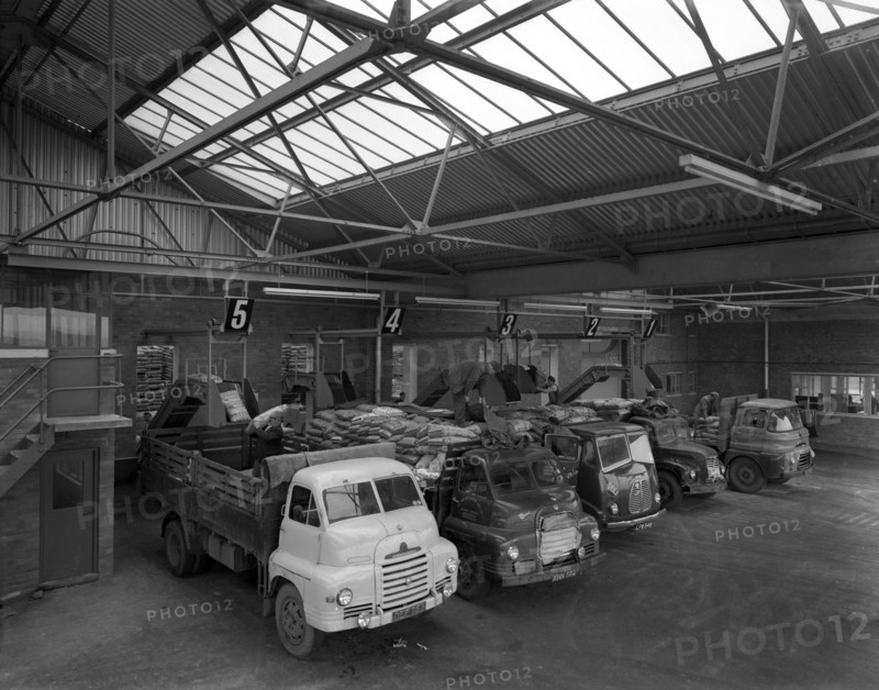 Line up of 1950s lorries at Spillers Animal Foods, Gainsborough, Lincolnshire, 1961.  Artist: Michael Walters