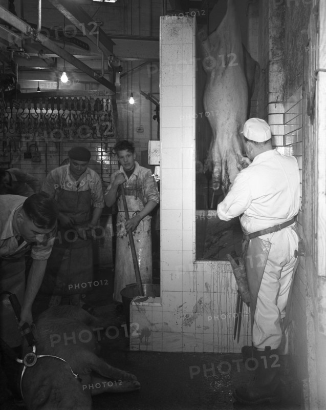 Butchery factory, Rawmarsh, South Yorkshire, 1955.  Artist: Michael Walters