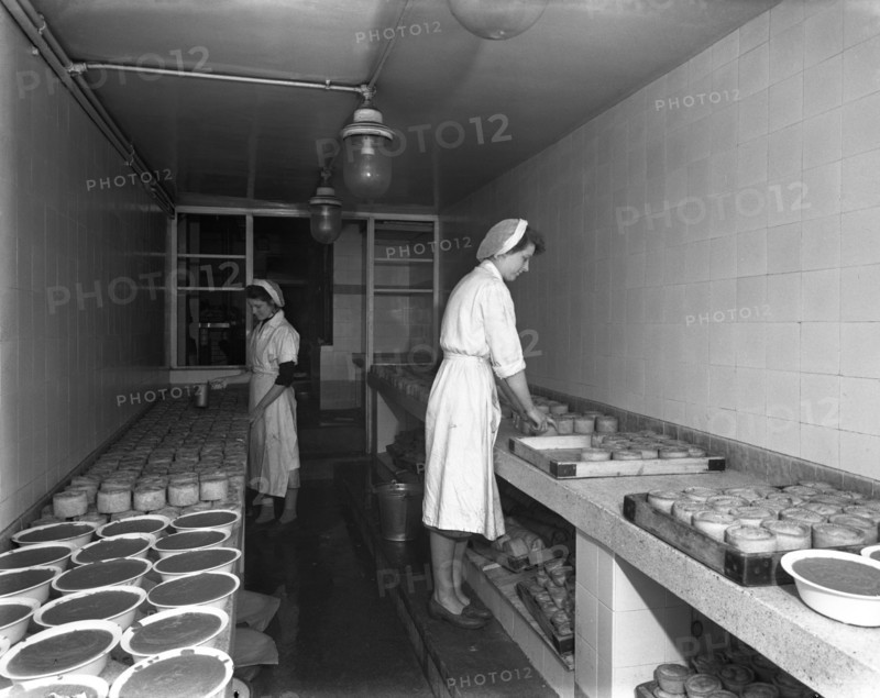 Making pork pies, Schonhut's butchery factory, Rawmarsh, South Yorkshire, 1955. Artist: Michael Walters