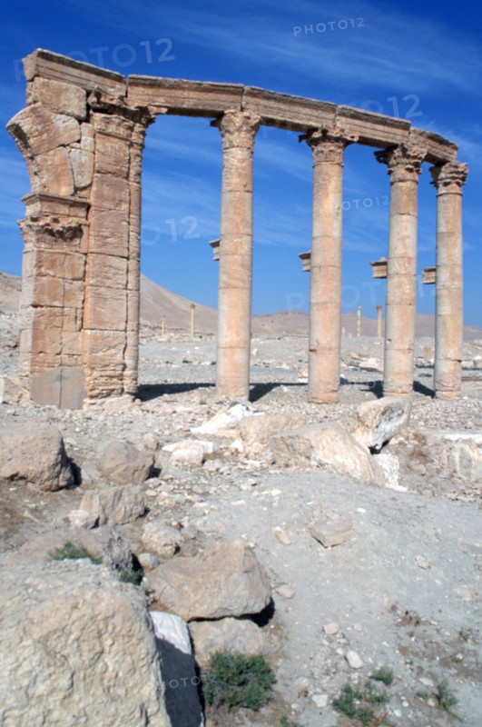 The Oval Piazza, Palmyra, Syria.