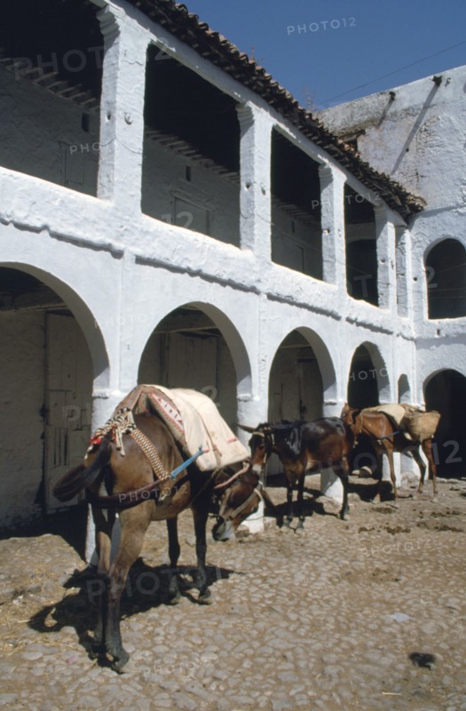 Fondouk, Chefchaouen, Morocco.