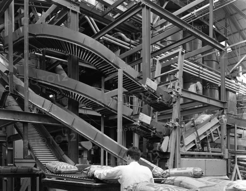 Complex conveyor delivery, Spillers Animal Foods, Gainsborough, Lincolnshire, 1962. Artist: Michael Walters