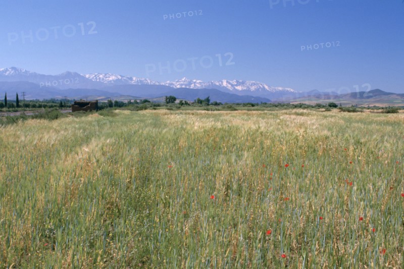 High Atlas Mountains from near Marakesh, Morocco.