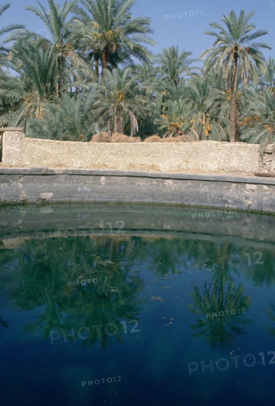 Cleopatra's Pool, Siwa, Egypt.
