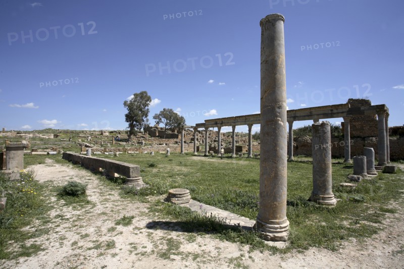 The Palaestra of Petronii, Thuburbo Majus, Tunisia. Artist: Samuel Magal