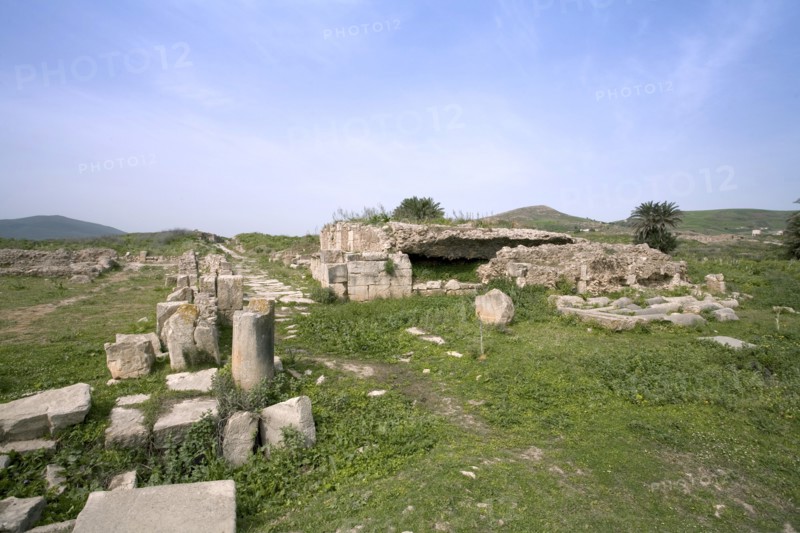 The capitolium at Bulla Regia, Tunisia. Artist: Samuel Magal