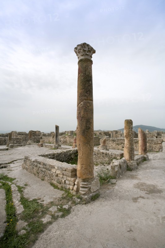 The House of the Hunting Scene, Bulla Regia, Tunisia. Artist: Samuel Magal