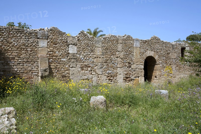 A Roman villa, Carthage, Tunisia. Artist: Samuel Magal