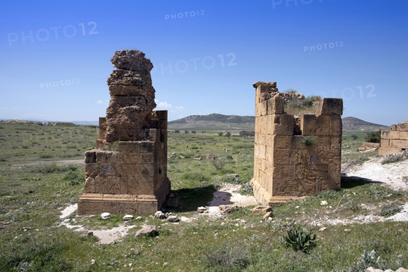 The East Gate at Thuburbo Majus, Tunisia. Artist: Samuel Magal