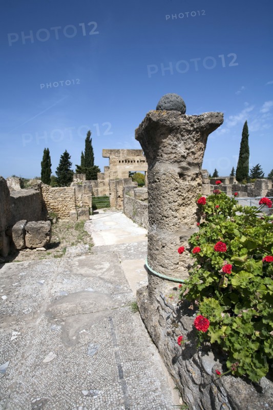 Utica, Tunisia. Artist: Samuel Magal