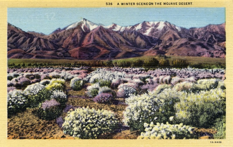 'A Winter Scene on the Mojave Desert', 1931. Artist: Unknown
