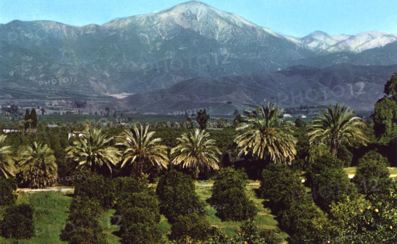 Orange groves and mountains, California, USA, 1953. Artist: Unknown