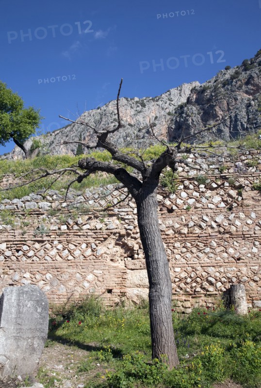 The walls of Delphi, Greece. Artist: Samuel Magal