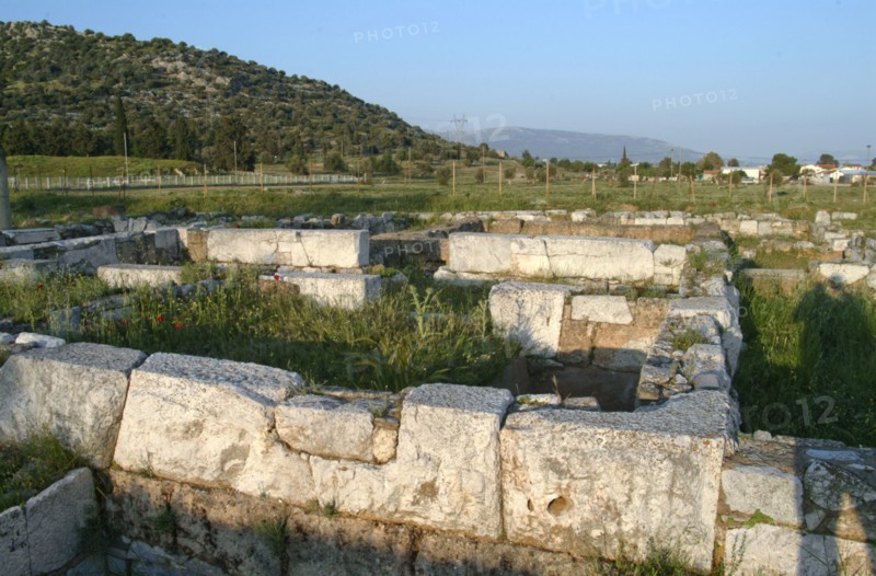 House S at Eretria, Greece. Artist: Samuel Magal