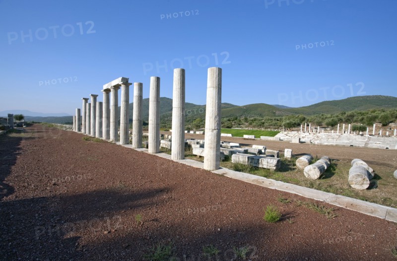 Stoas of the gymnasium at Messene, Greece. Artist: Samuel Magal