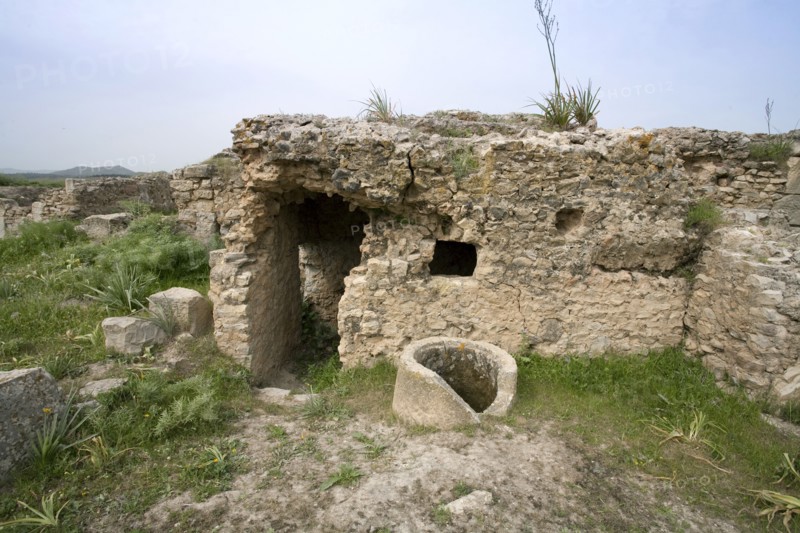 House 8, Bulla Regia, Tunisia. Artist: Samuel Magal