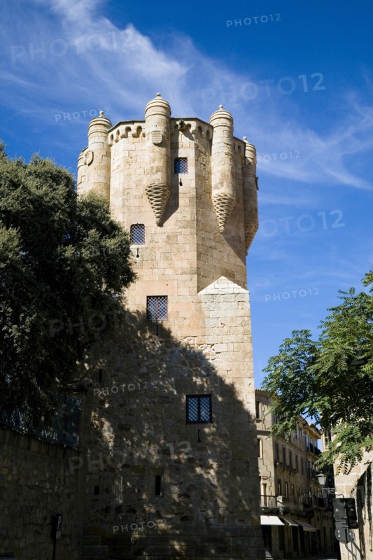 Clavero Tower, Palace of Sotomayor, Salamanca, Spain, 2007. Artist: Samuel Magal