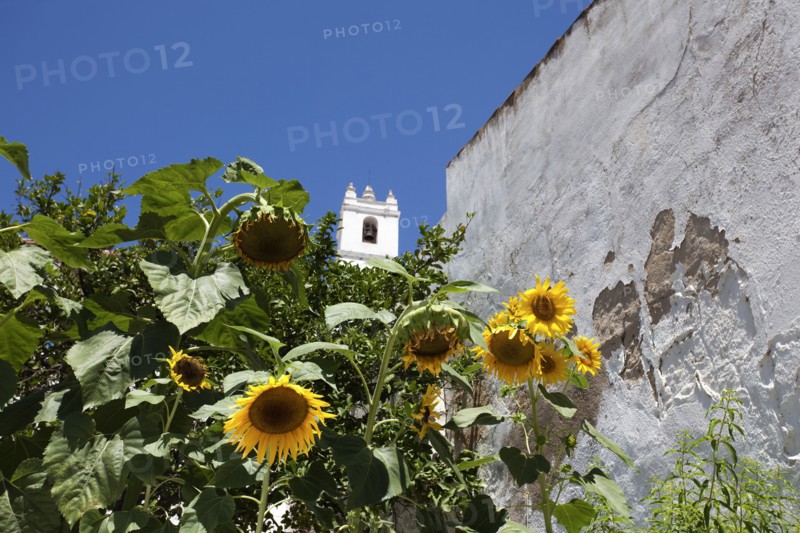 The bell tower of the main church (igreja matriz) of Mertola, Portugal, 2009. Artist: Samuel Magal