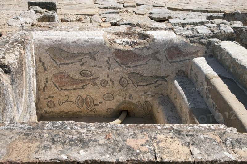 A frigidarium with fish mosaics in the public baths of Milreu, Portugal, 2009. Artist: Samuel Magal