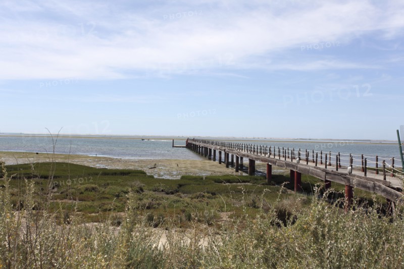Olhao Bird Reserve, Olhao, Portugal, 2009. Artist: Samuel Magal