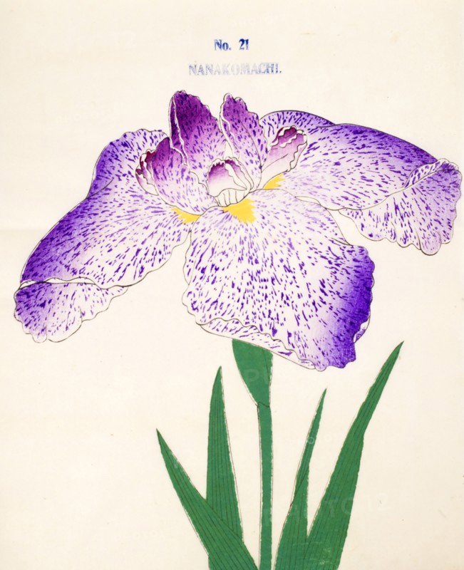 Nanakomachi, No 21, 1890, (colour woodblock print)