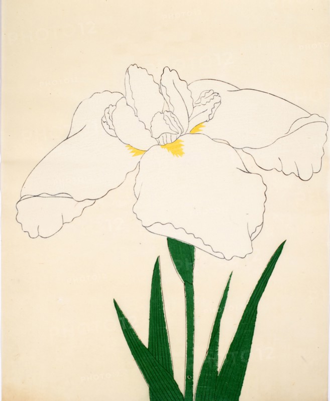 Tsuru-No-Kegoromo, No. 33, 1890, (colour woodblock print)