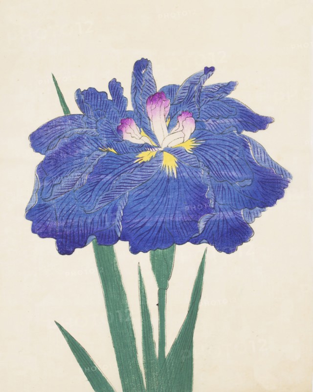 Karako-Asobi, No. 42, 1890, (colour woodblock print)