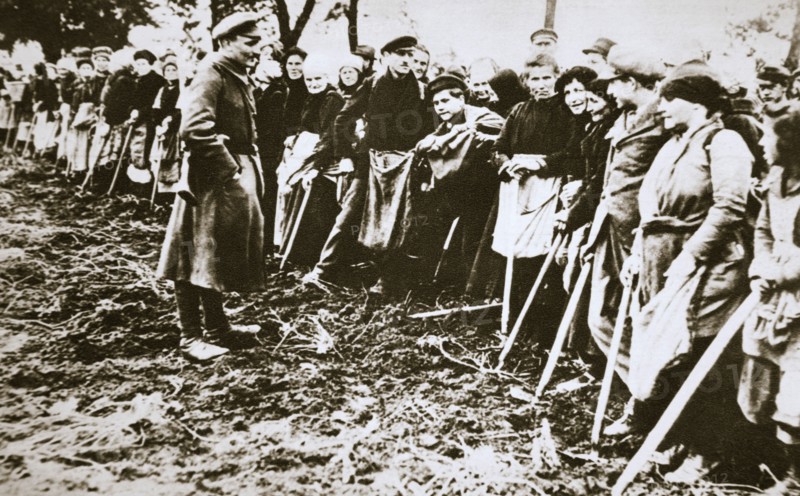 Townsfolk wait to scour the fields for potatoes left by farmers, Germany, World War I, c1914-c1918. Artist: Unknown