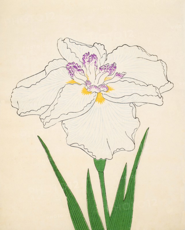 Cho-Hiyen, No. 91, 1890, (colour woodblock print)