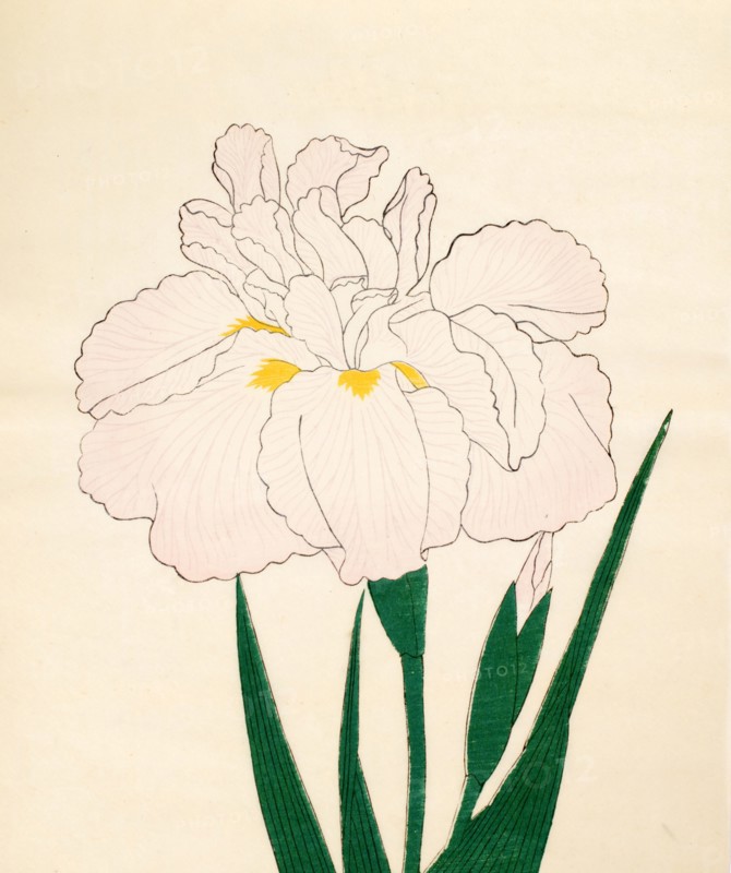 En-Yo-No-Ten, No. 73, 1890, (colour woodblock print)