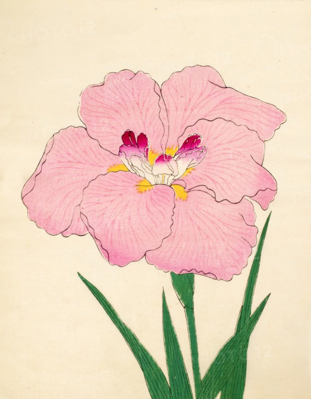 Gofukushoshu, No. 86, 1890, (colour woodblock print)