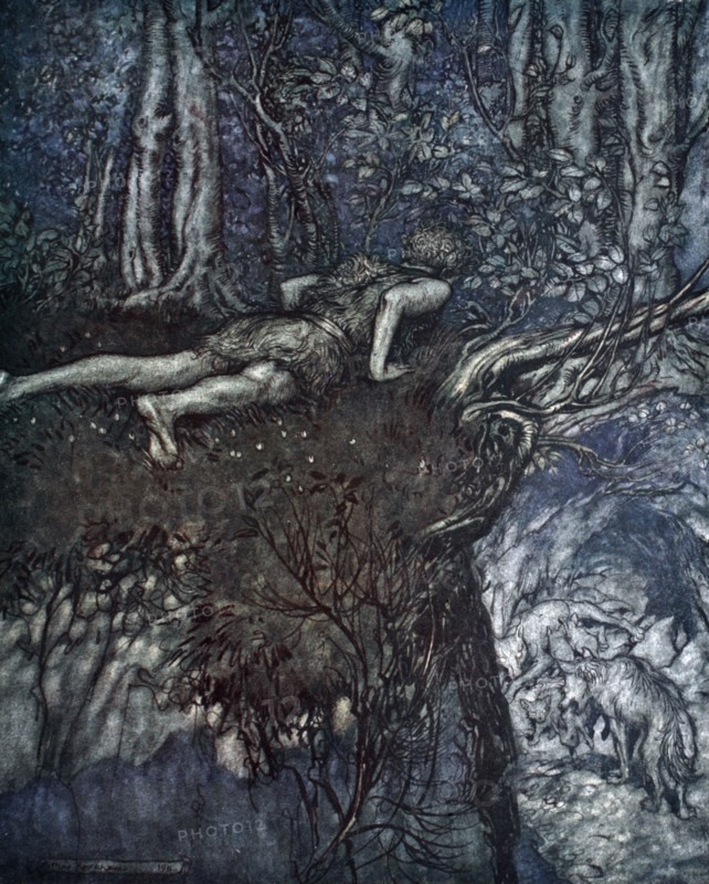 'And there I learnt what love was like', 1924.  Artist: Arthur Rackham