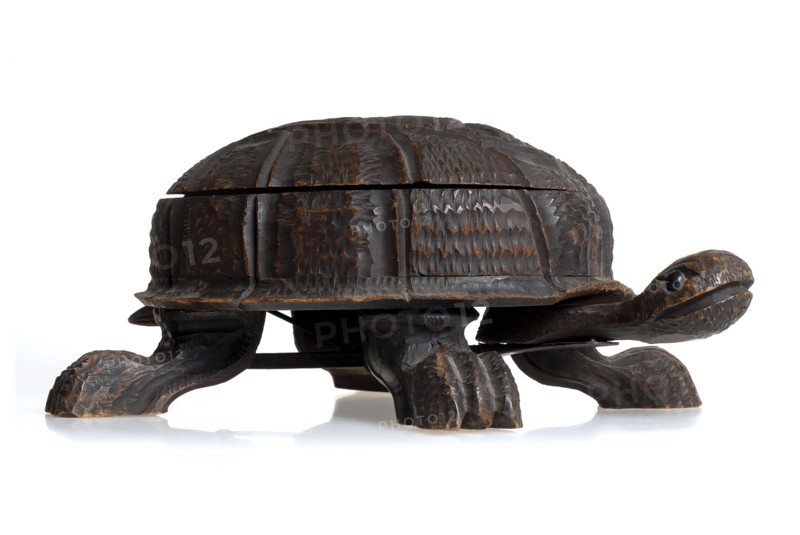 Spittoon formed like a tortoise, inside a porcelain bowl. Artist: Pernilla Sjöström
