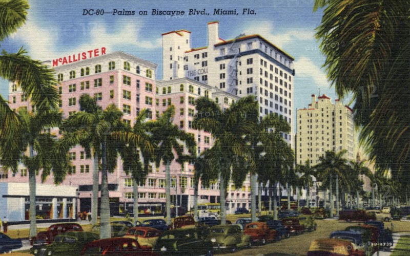 Palms on Biscayne Boulevard, Miami, Florida, USA, 1949. Artist: Unknown