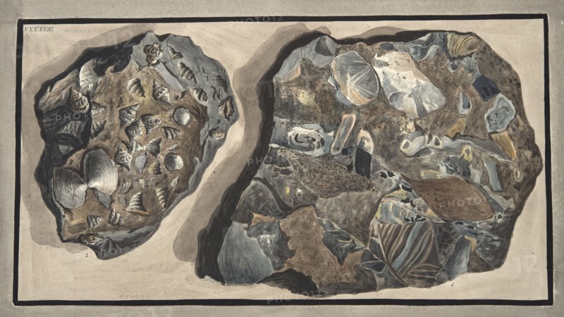 Piece of marble composed of fragments of various sorts of marble found in the Fossa Grande, 1776.