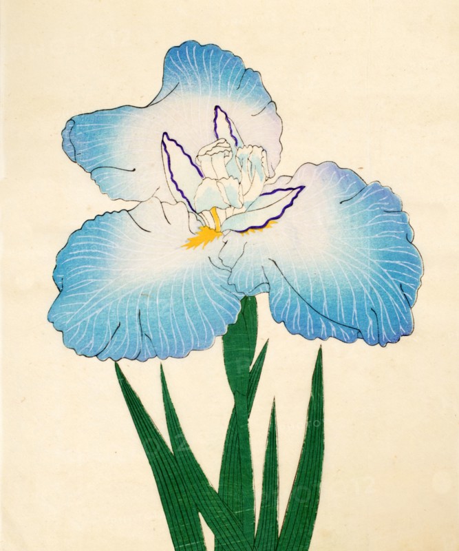 Irojiman, No. 80, 1890, (colour woodblock print)