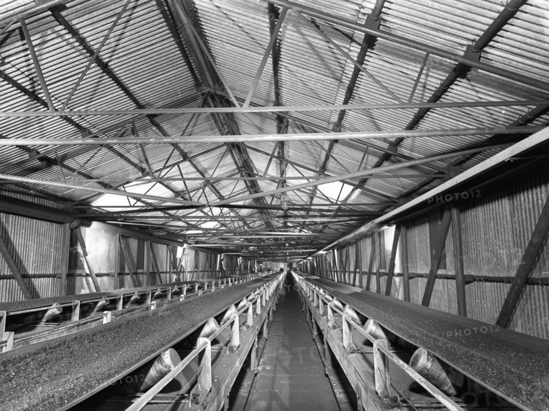 Triple conveyors at Manvers Main coal preparation plant, Wath upon Dearne, South Yorkshire, 1956. Artist: Michael Walters