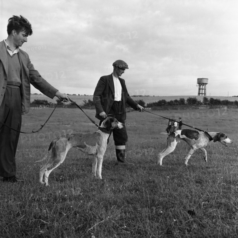 Hound Trailing, one of Cumbria's oldest and most popular sports, Keswick, 2nd July 1962. Artist: Michael Walters