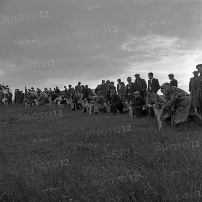 Hound Trailing, one of Cumbria's oldest and most popular sports, Keswick, 2nd July 1962. Artist: Michael Walters