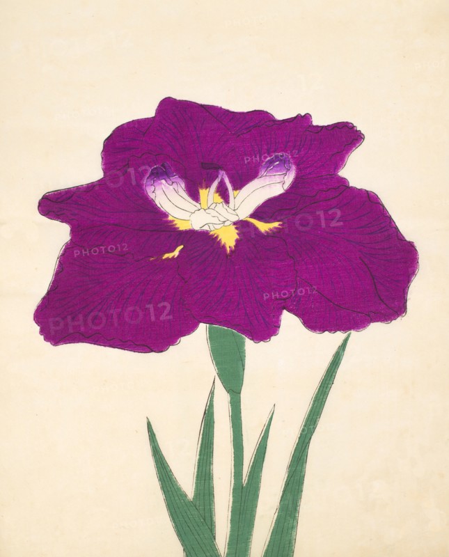 Hizume-No-Hyoshi, No. 29, 1890, (colour woodblock print)