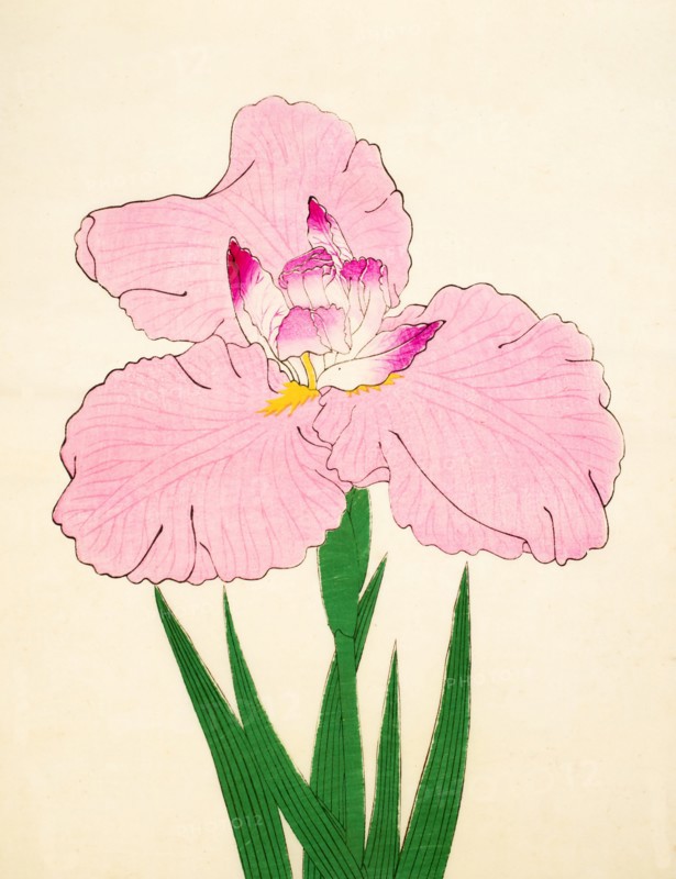 Gaisen, No. 90, 1890, (colour woodblock print)