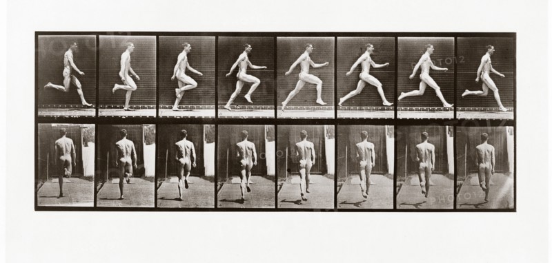 Man running, Plate 65 from Animal Locomotion, 1887 (photograph)