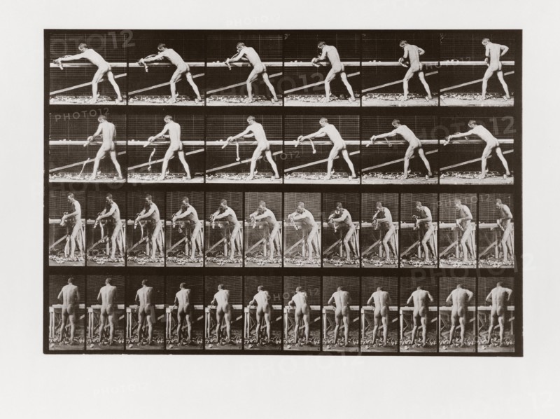 Man planing wood, Plate 379 from Animal Locomotion, 1887 (photograph)