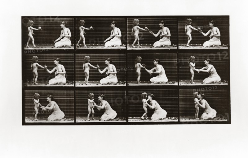 Child bringing bouquet to a woman, Plate 465 from Animal Locomotion, 1887 (photograph)