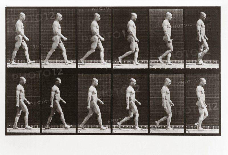 Man walking, Plate 6 from Animal Locomotion, 1887 (photograph)
