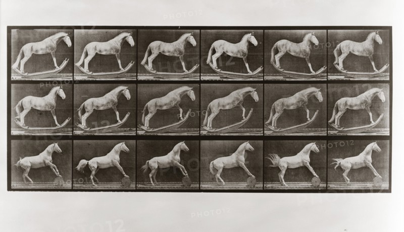 Horse on Rockers and Horse Rolling a Barrel, Plate 649 from Animal Locomotion, 1887 (photograph)